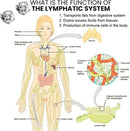 Magnetology Germanium Earrings – Non-Piercing Acupressure Ear Cuffs for Weight Loss