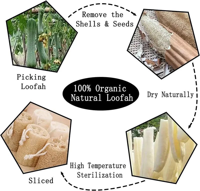 Natural Loofah Bath Sponge – Exfoliating Body Scrubber for Spa & Skin Care