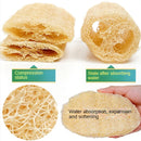 Natural Loofah Bath Sponge – Exfoliating Body Scrubber for Spa & Skin Care