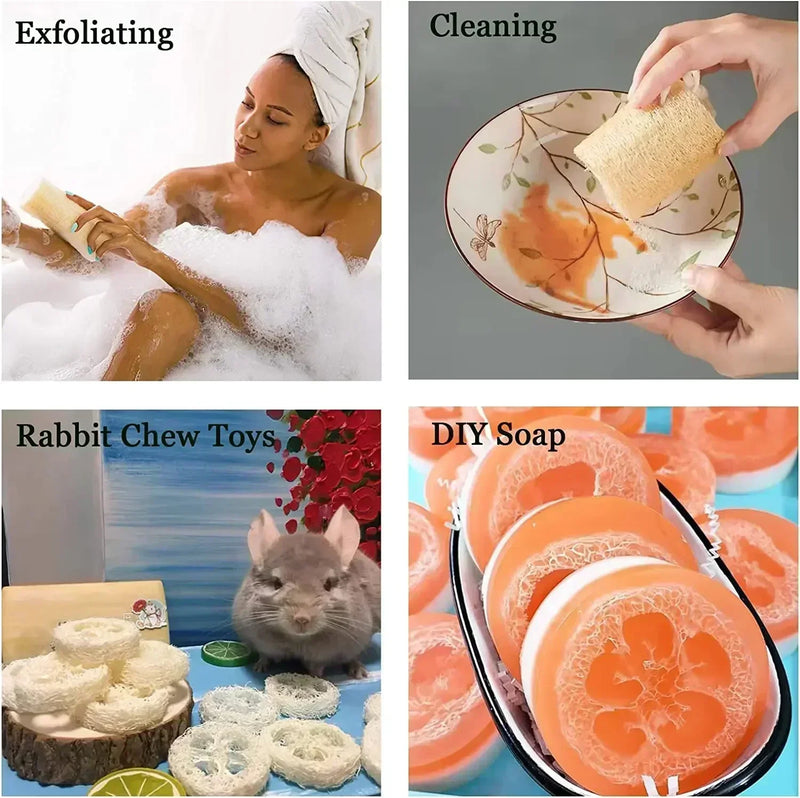 Natural Loofah Bath Sponge – Exfoliating Body Scrubber for Spa & Skin Care